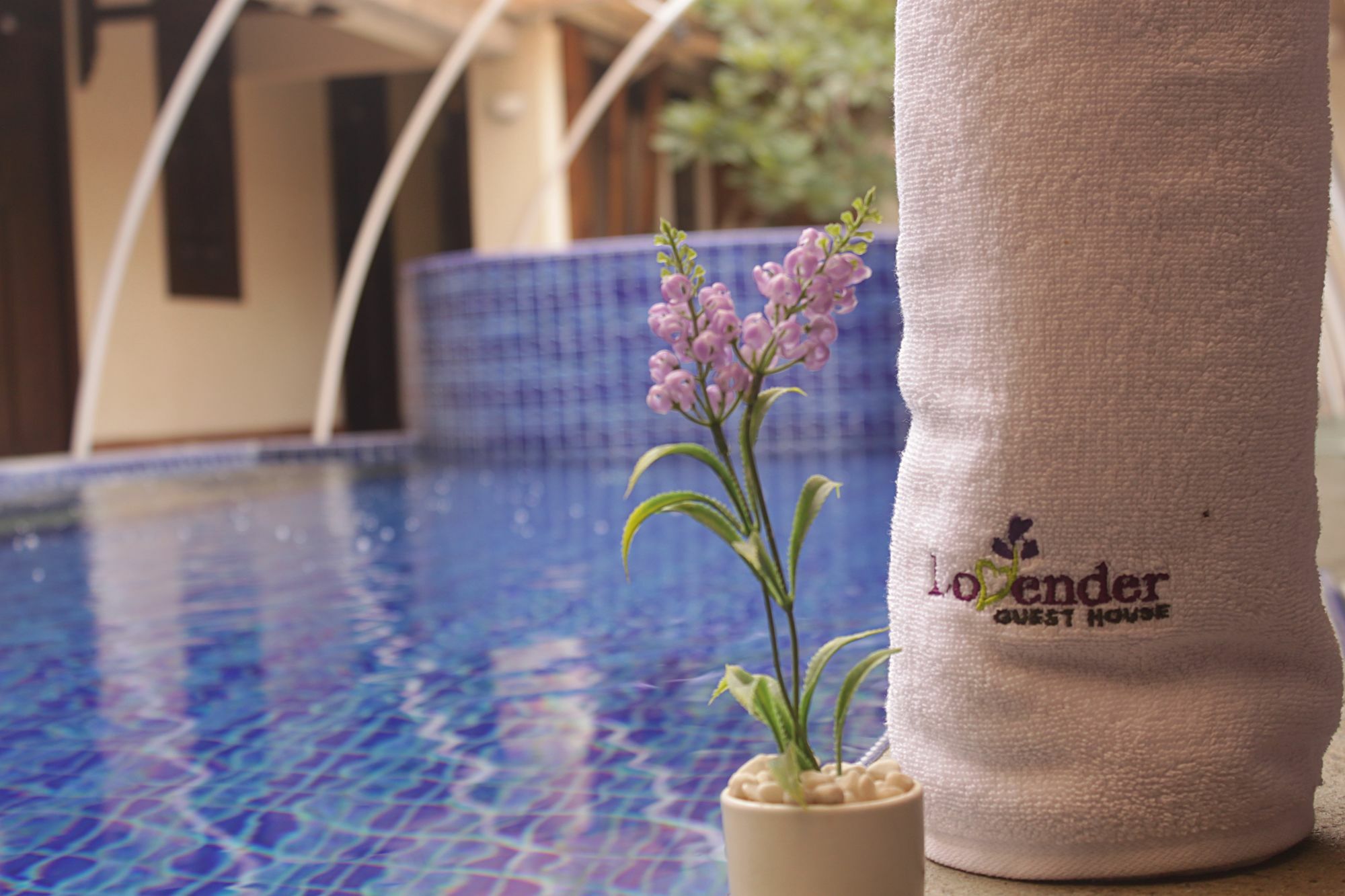 Lovender Guesthouse Malang Exterior foto